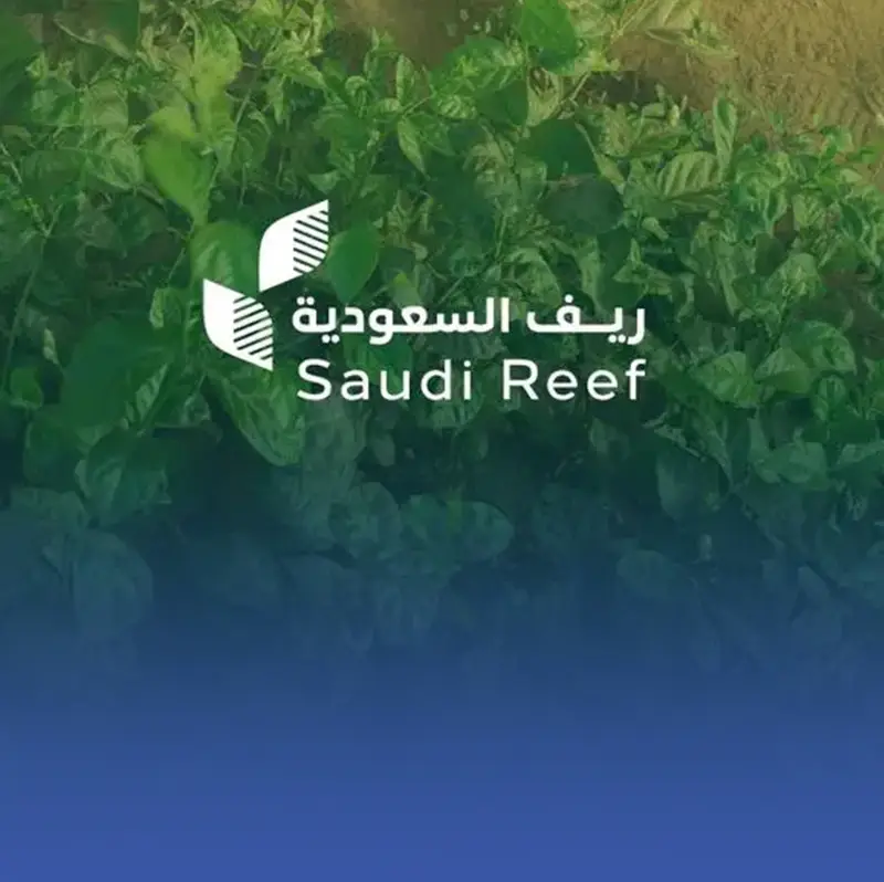 توريد 100 ألف معدة وآلة للمزارعين والنحّالين لرفع الإنتاج