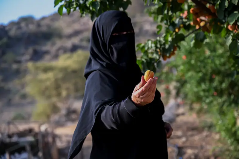 فواكه الصيف تزين مزارع الباحة وتنعش موسم الحصاد