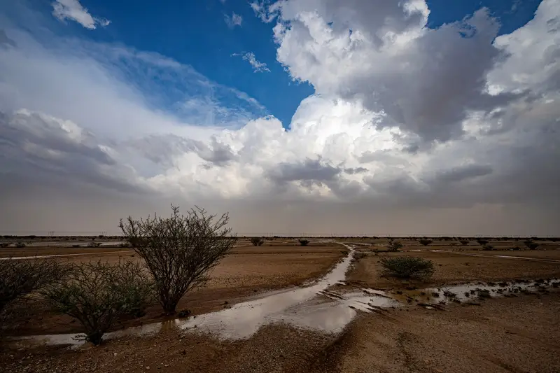الأمطار ترسم لوحة طبيعية جاذبة في شمال الطائف