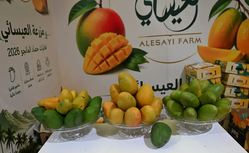 المتاجر الرقمية تتصدر مشهد حصاد المانجو 2026