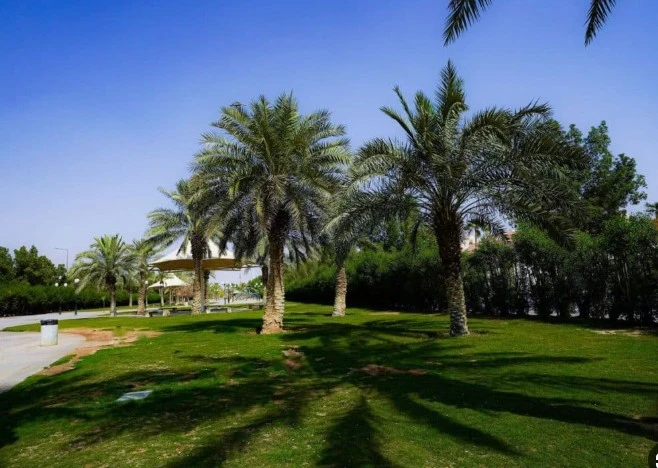 أمانة الرياض تدعو السكان إلى المشاركة في تسمية 17 حديقة 