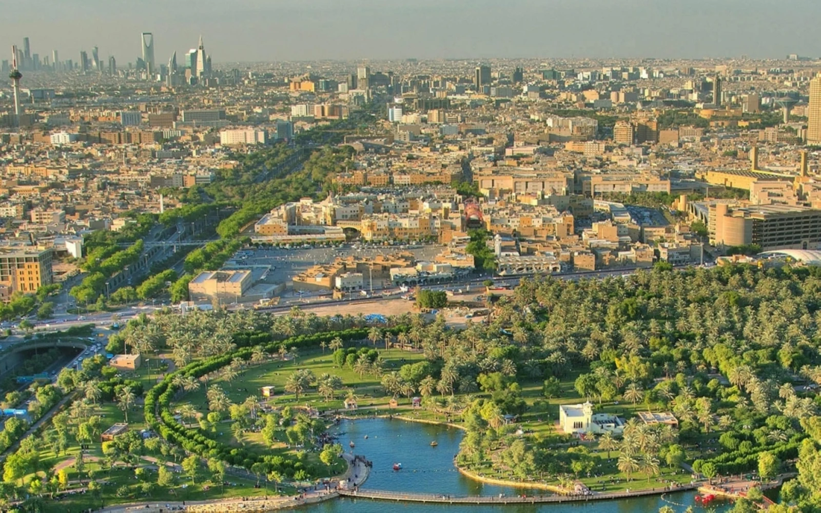 "البيئة": التشجير ركيزة أساسية لخفض درجات الحرارة