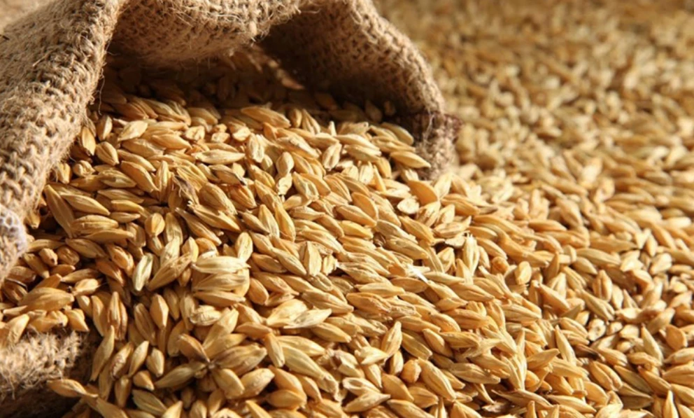 سيصل القمح المستورد عبر 11 باخرة تُوزع على موانئ جدة وينبع وجازان