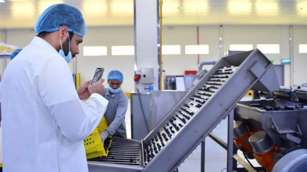 أسعار المنتجين ترتفع 5.1% خلال أغسطس