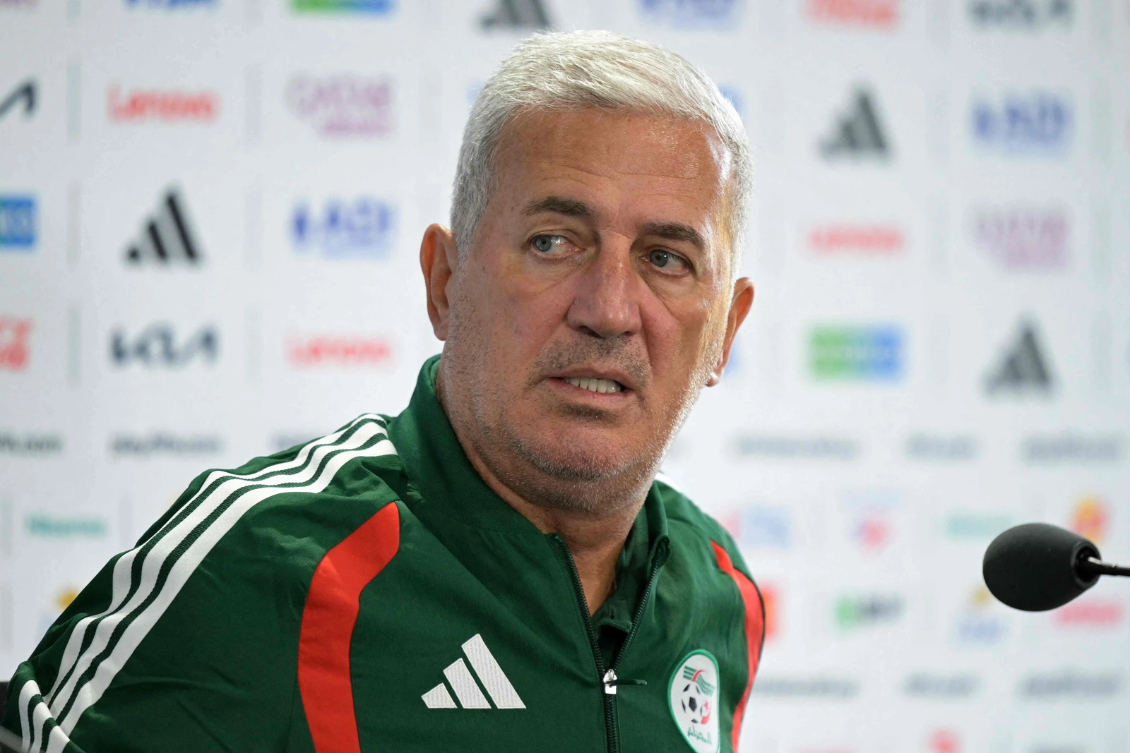 مونديال 2026.. بيتكوفيتش يقود الجزائر في مواجهة من يعرفهم جيدا