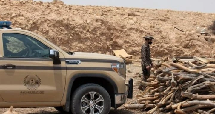 "الأمن البيئي" يضبط مخالفًا لنقله حطبًا محليًّا في المدينة