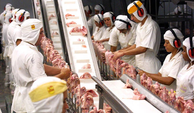 イラクがブラジル産鶏肉の輸入禁止措置を解除、韓国は制限を緩和
