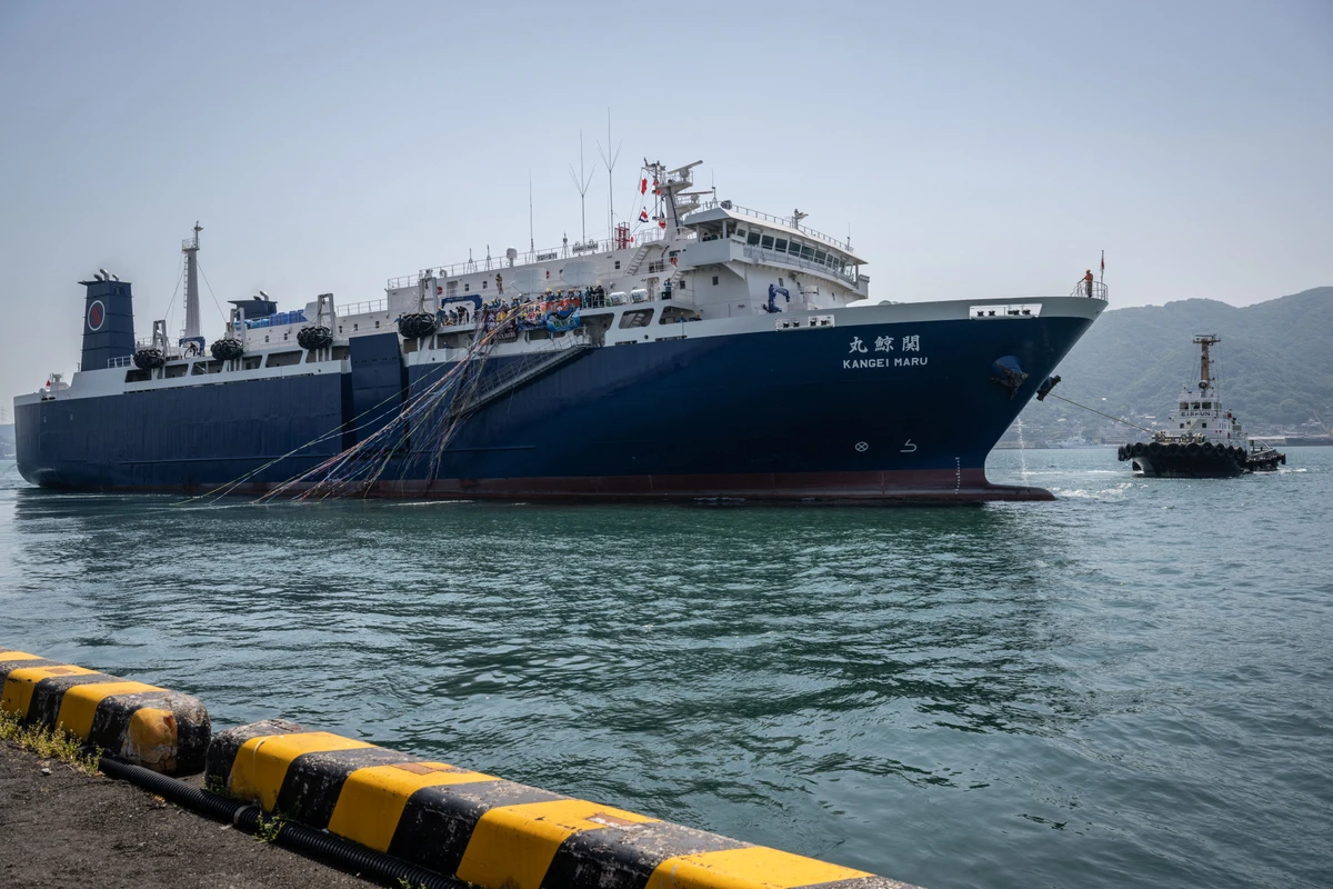 Japan whaler operator says it has no plan to hunt in Antarctic