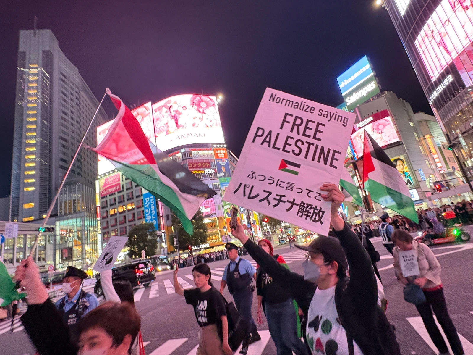 Pro-Palestinian activists demonstrate on anniversary of October 7