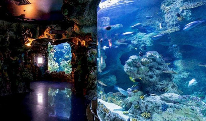 Le musée aquatique de Djeddah, destination touristique majeure