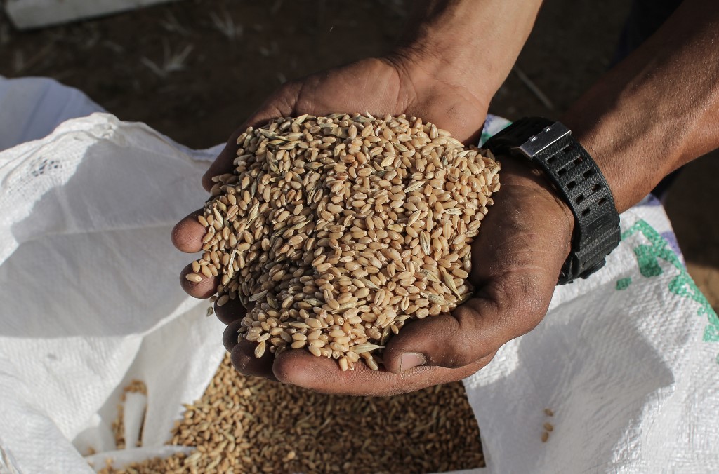 Au port de Yanbu, l’Arabie saoudite lance le plus grand terminal de grains de la région
