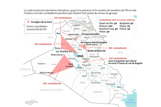Terrorisme : L’Irak reste « l’épine dorsale » de l’EI
