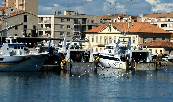 A la découverte des charmes de Sète avec le rappeur Rachid Daif