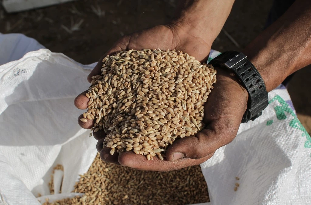 Au port de Yanbu, l’Arabie saoudite lance le plus grand terminal de grains de la région