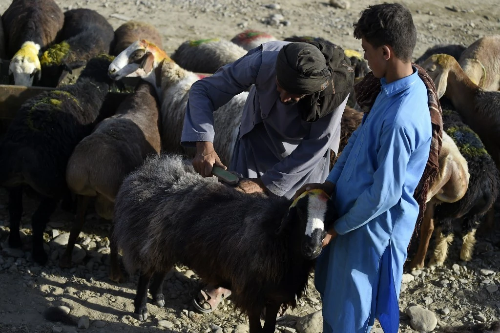 Afghanistan: cessez-le-feu pendant l'Aïd el-Adha