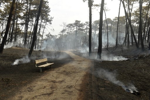 Feu de forêt dans le sud-ouest de la France, le 31 juillet 2020 (Gaizka Iroz/AFP)