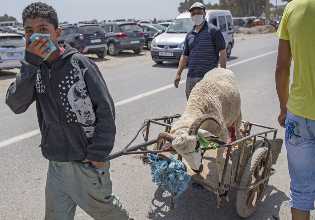 Au Maroc et en Algérie, de nouvelles mesures restrictives face à un rebond de la Covid-19