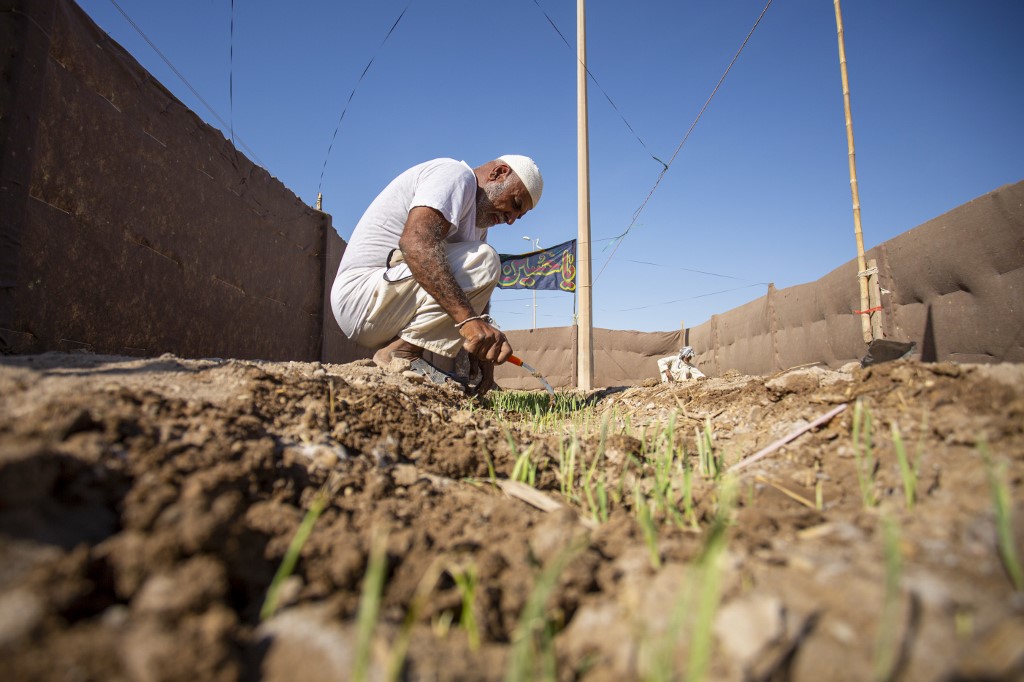 Un agriculteur irakien à Bassorah (Hussein Faleh / AFP)