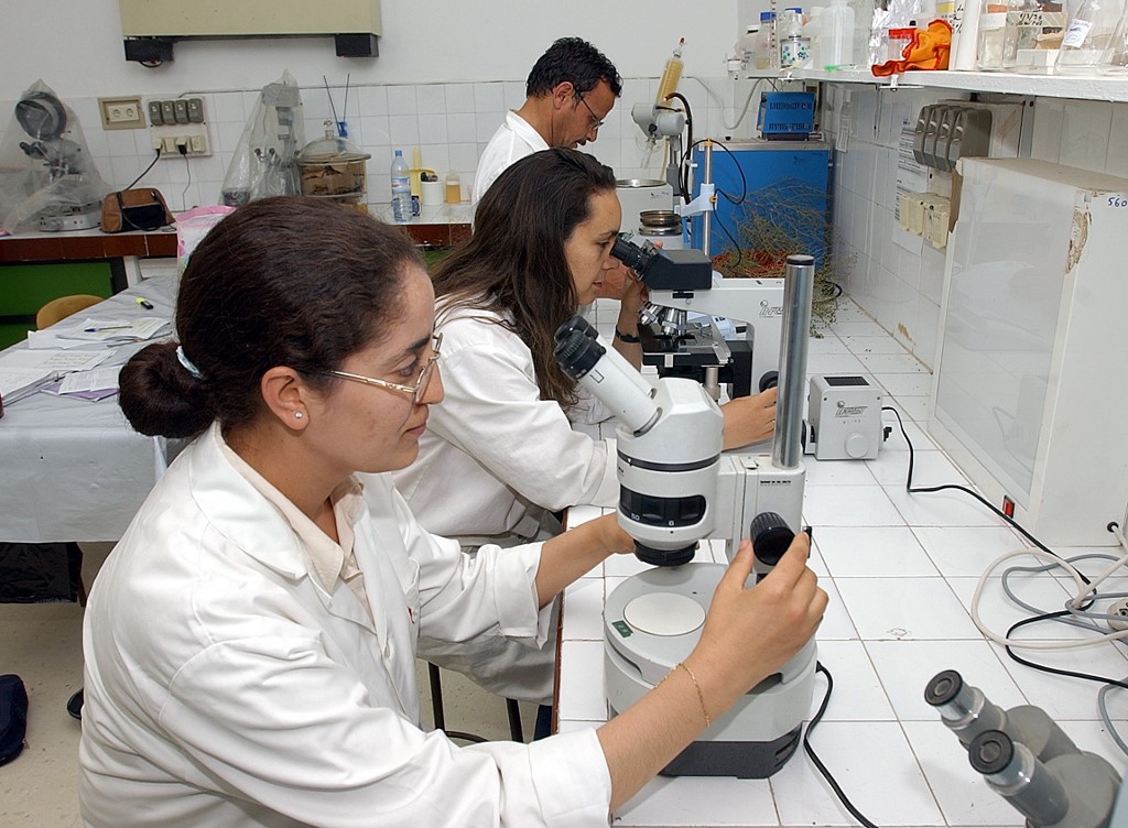 Des étudiantes tunisiennes à l’Institut National de Recherche Scientifique à Tunis (Photo, Fethi BELAID/AFP).