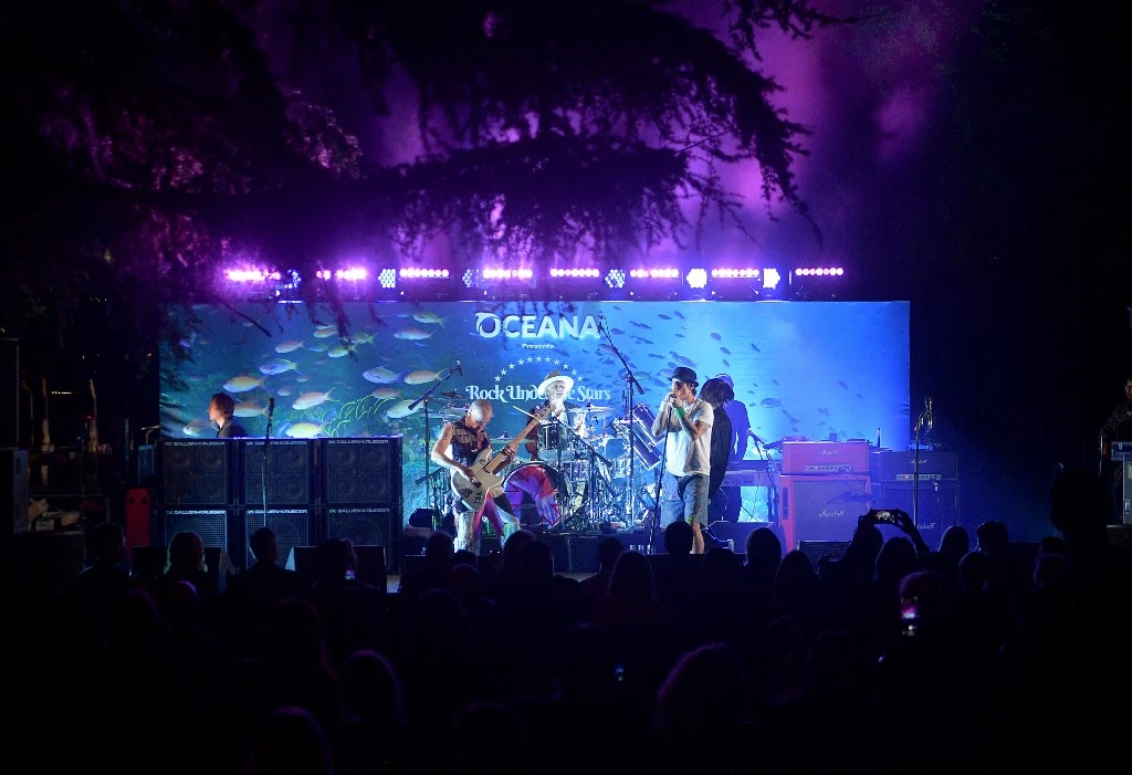 Le groupe Red Hot Chili Peppers en plein concert (Getty Images /AFP)