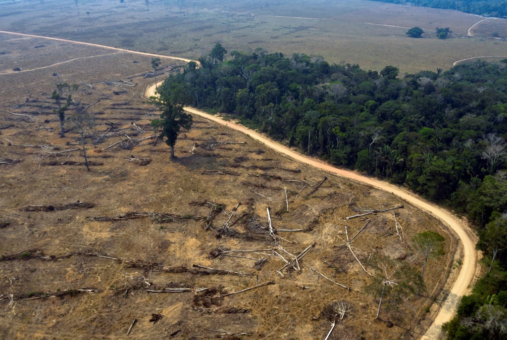 La déforestation en Amazonie avait atteint un niveau exceptionnel en 2019 (9.178 km2), la première année du mandat du président d'extrême droite Jair Bolsonaro (Photo, Carlos FABAL/AFP).
