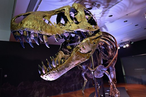 Un squelette d'allosaure, «grand-père» du T-Rex, aux enchères à Paris