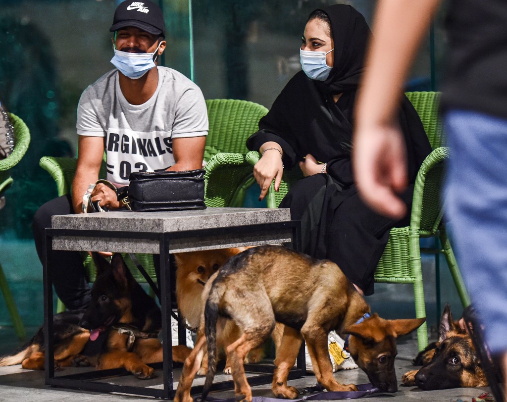 Le café « Barking Lot » (AFP)