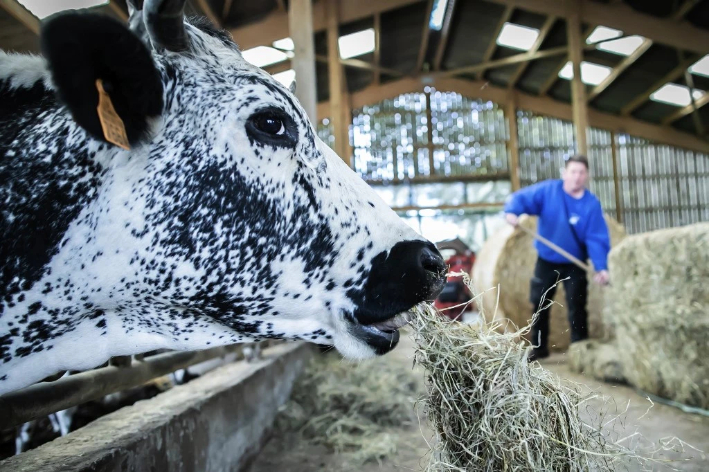 134 Français tirés au sort attendus à Paris ce week-end pour parler agriculture et PAC
