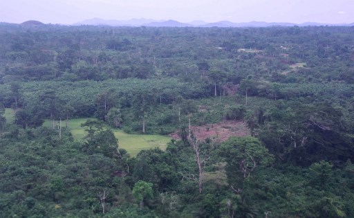 Côte d'Ivoire: des étudiants présentent des projets contre la déforestation