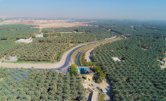 L'oasis d’Al-Ahsa en Arabie saoudite est enregistrée par Guinness comme la plus grande du monde