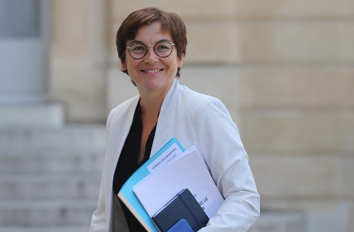 Prises accidentelles de dauphins: la ministre de la Mer promet plus de contrôles