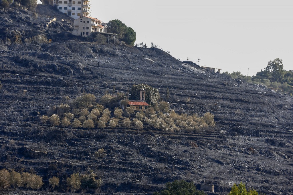 Des dizaines de feux de forêt se sont déclarés en Syrie. (AFP)
