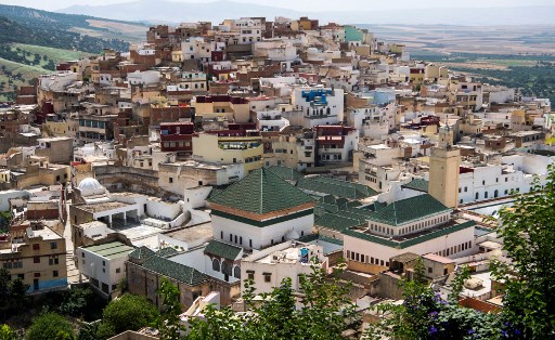 «Le Maroc est un paradis pour les géologues et les paléontologues»