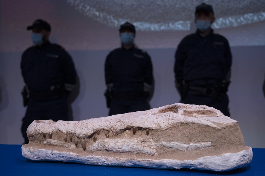 La France remet au Maroc près de 25 000 objets archéologiques pillés