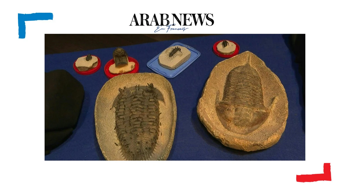 Les douanes françaises remettent au Maroc une saisie archéologique «remarquable»