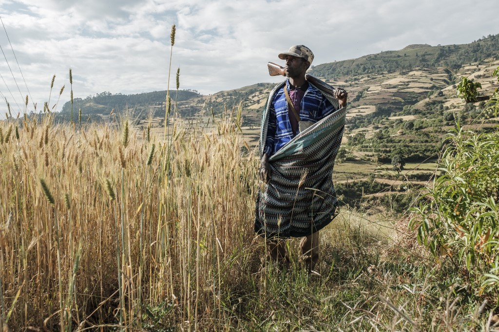 Zeleke Alabachew, agriculteur et combattant de milice, pose sur ses terres près du village de Tekeldengy, au nord-ouest de Gondar, en Éthiopie. (EDUARDO SOTERAS / AFP)