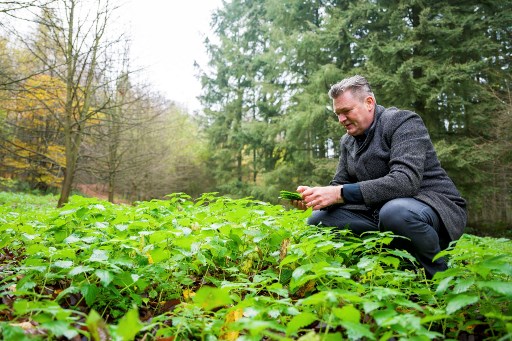 La forêt du Luxembourg, un garde-manger pour le chef René Mathieu
