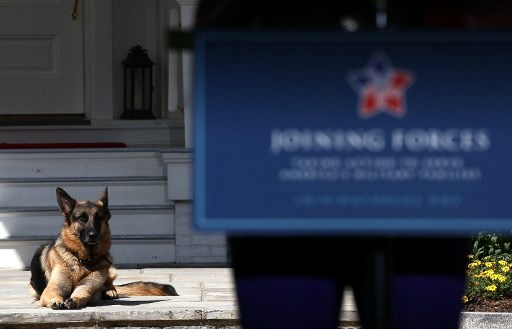 Entorse du pied pour Joe Biden, en jouant avec son chien