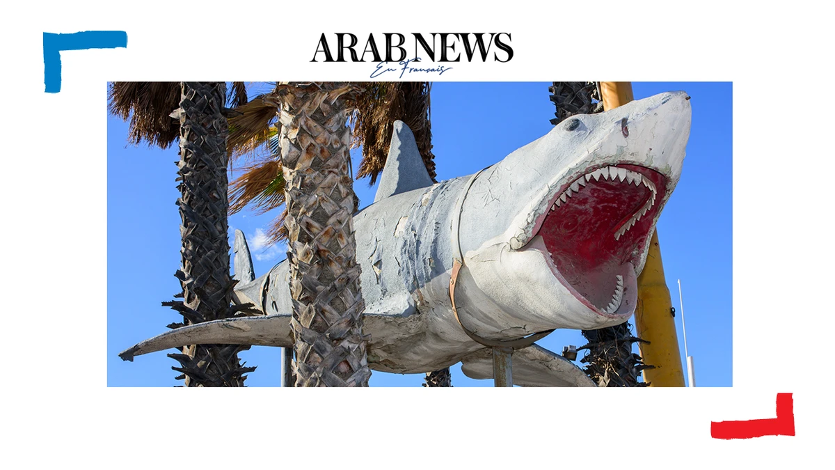Le requin des "Dents de la mer" prêt à terroriser les visiteurs du musée des Oscars