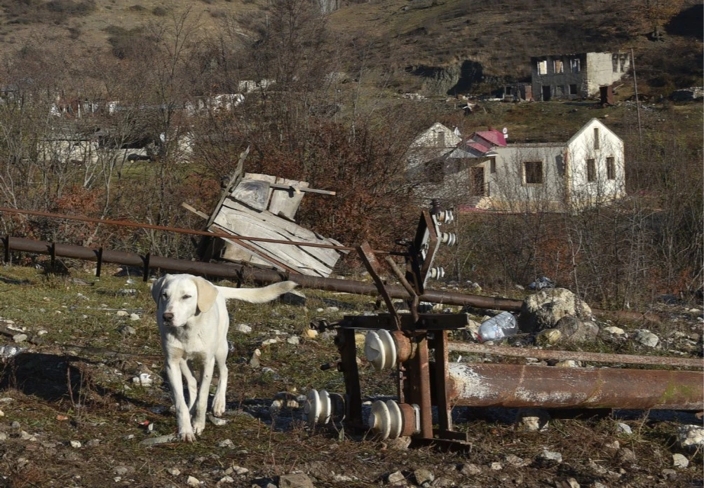 Un chien se promène dans le village de Charektar le 25 novembre 2020 alors que l'Azerbaïdjan a déclaré que ses forces étaient entrées dans le district de Kalbajar, le deuxième des trois à être rendu par l'Arménie dans le cadre d'un accord qui a mis fin à des semaines de combats sur le Haut-Karabakh. (AFP)