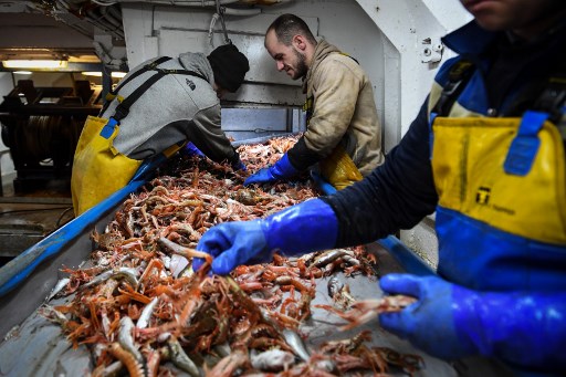 En Ecosse, le Brexit dope le combat pour l'indépendance