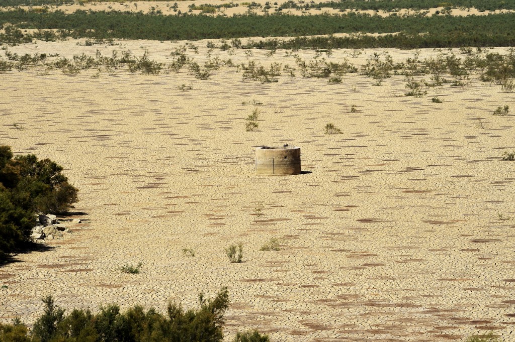Impact des changements climatiques sur l’économie tunisienne