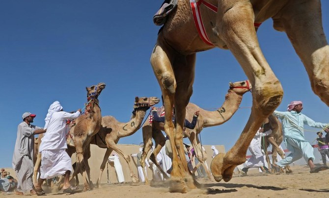 Abou Dhabi: les activités économiques, touristiques et culturelles vont reprendre