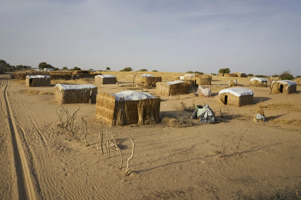 Niger: attaque meurtrière de Boko Haram dans l'Est le jour des municipales