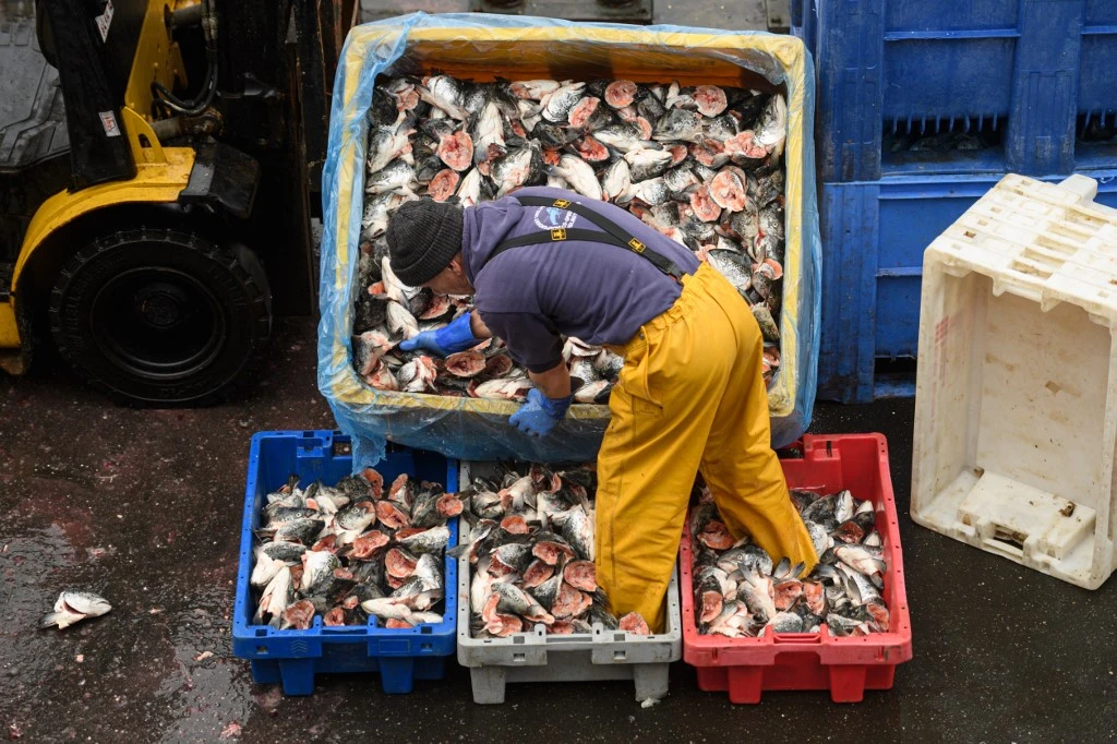 Le Brexit effraie les pêcheurs néerlandais