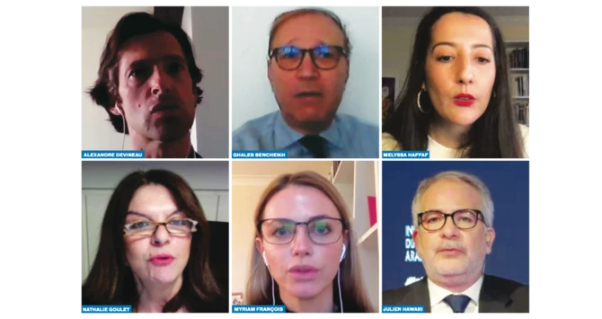 L'intégration en France: problème de perception ou crise systémique? l'avis des experts