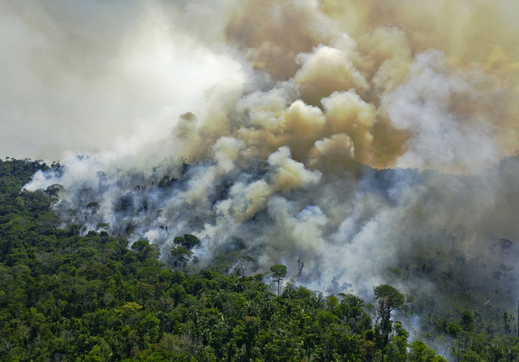 Brésil: les incendies de forêt au plus haut en dix ans