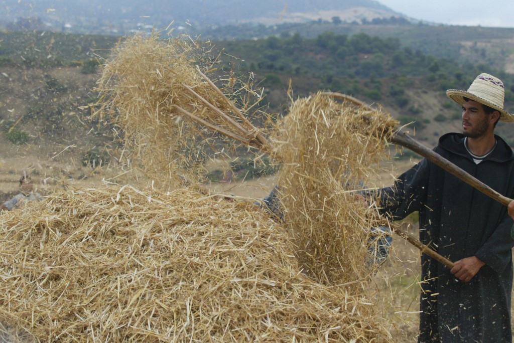 «Llyali» : des rituels et des traditions qui tombent dans l’oubli