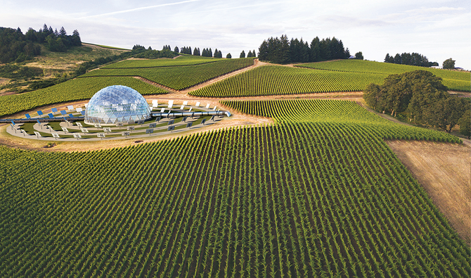 Les Émirats arabes unis et la Grande-Bretagne à la veille d’atteindre leurs objectifs greentech