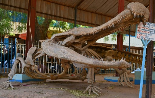 L'éclectique Musée national de Niamey, «miroir» du Niger